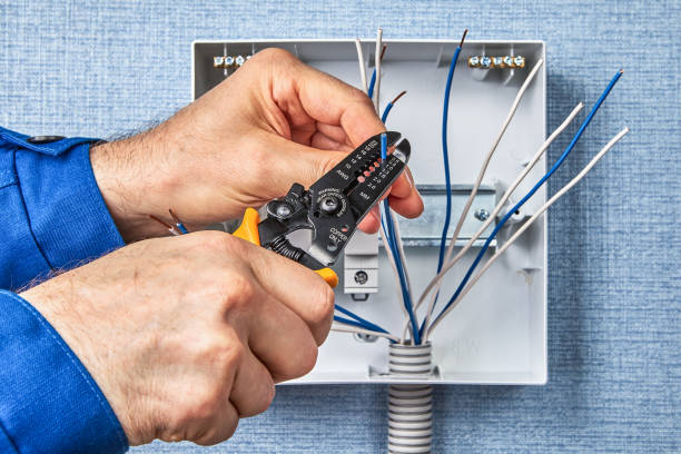 Best Electrical Panel Upgrades  in Augusta, KY