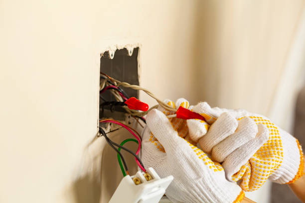 Best Surge Protection Installation  in Augusta, KY